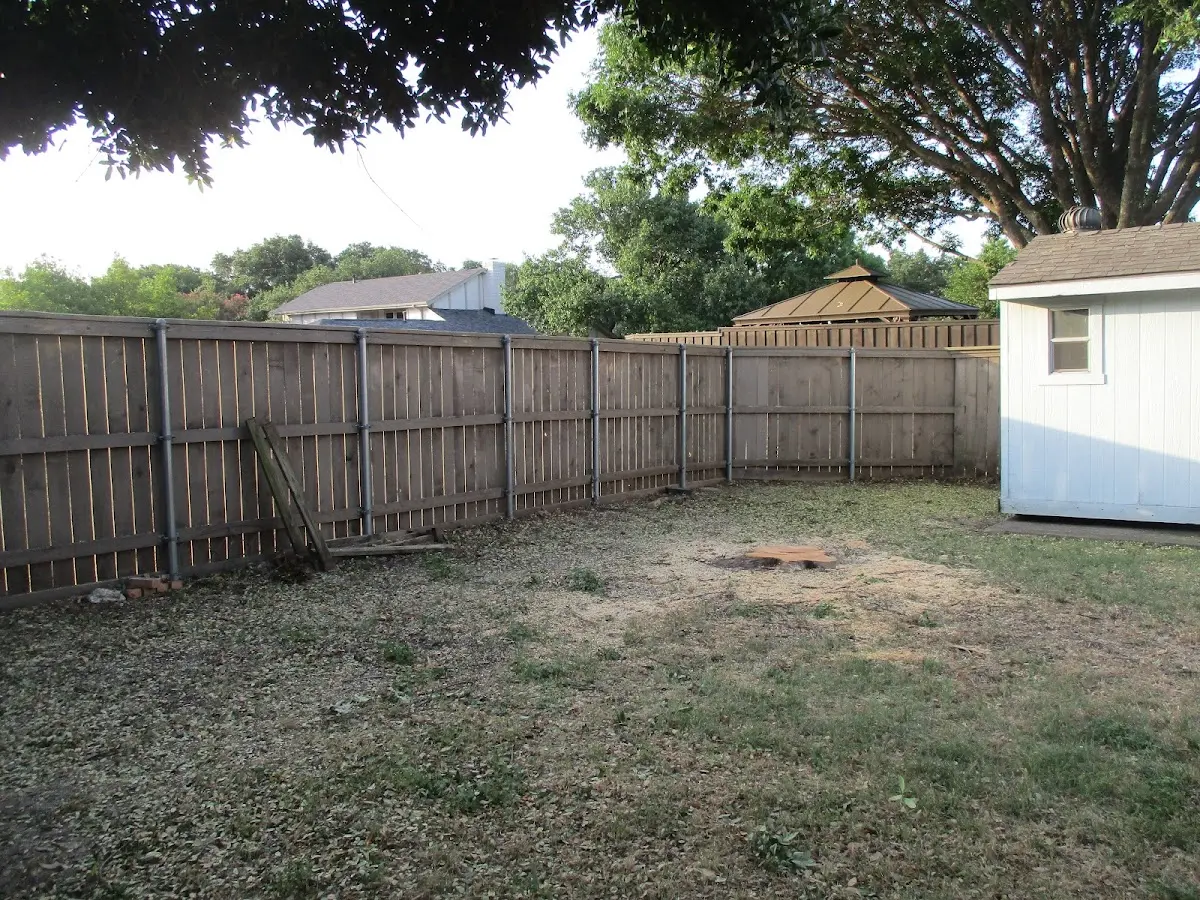 Cleared yard after professional tree removal in Colorado City