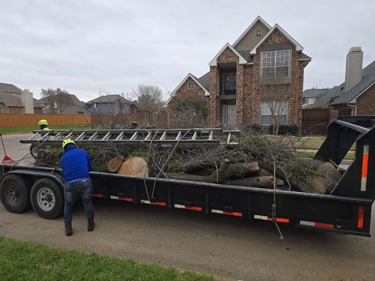 Expert Lot Clearing with proper safety equipment in Colorado City